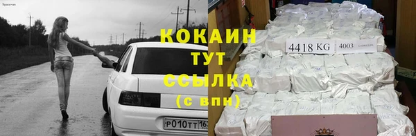 PSILOCYBIN Балабаново