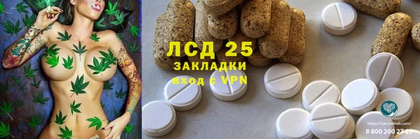 PSILOCYBIN Балабаново