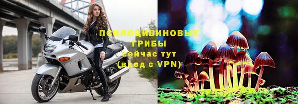 PSILOCYBIN Балабаново