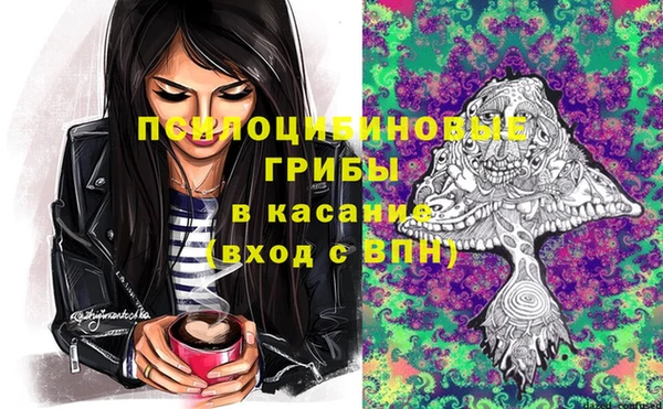 мдпв Балахна