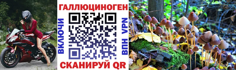 Псилоцибиновые грибы прущие грибы Геленджик